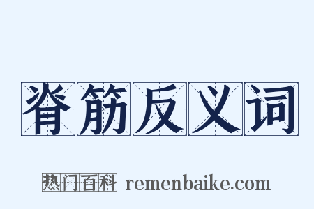 脊筋反义词是什么意思的图片